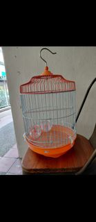 (Category: ) located in . Submitted by 2020rat (Listing ID 1466439714, Image 1). Description: .