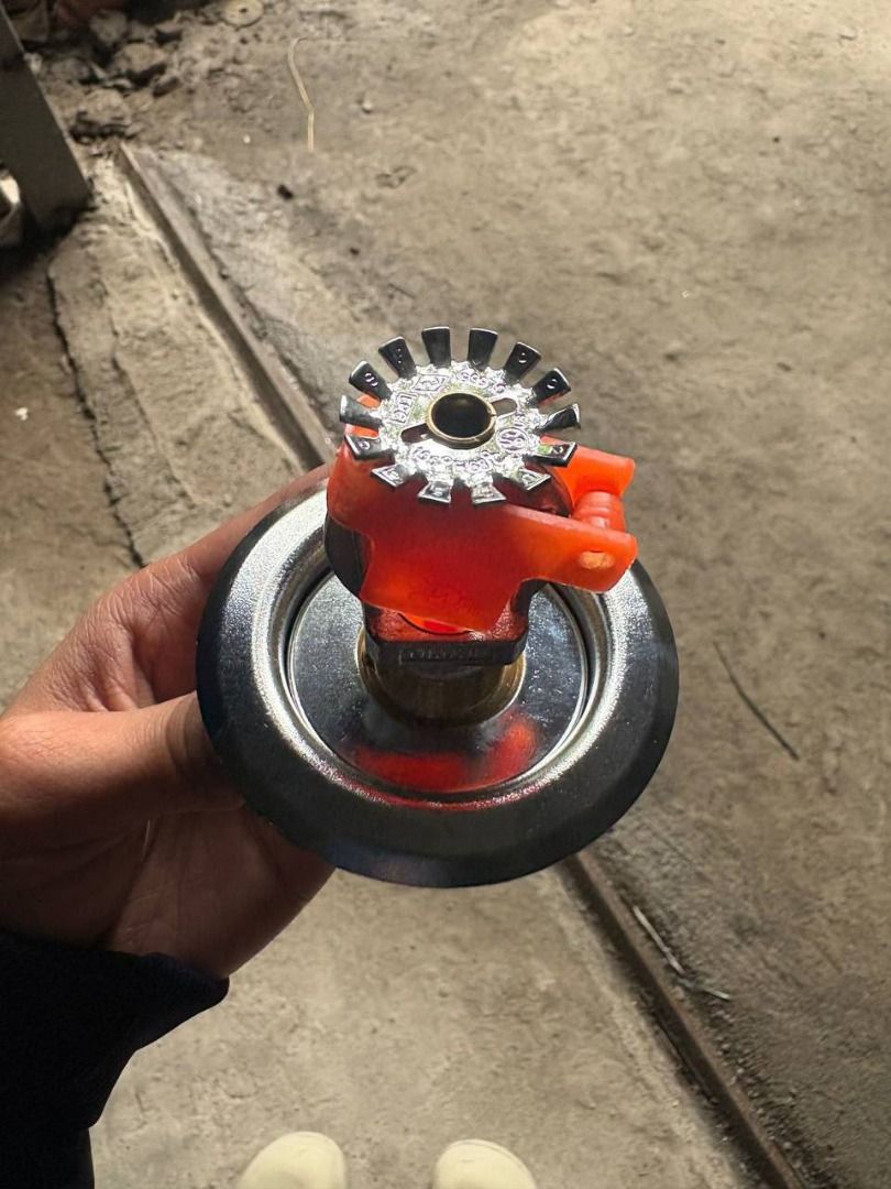 sprinkler Head with scutcheon plate Specs : pendant type (Category: Construction Tools & Equipment) located in Manila. Submitted by joeyroque09 (Listing ID 1466391518, Image 3). Description: sprinkler Head with scutcheon plate Specs : pendant type.