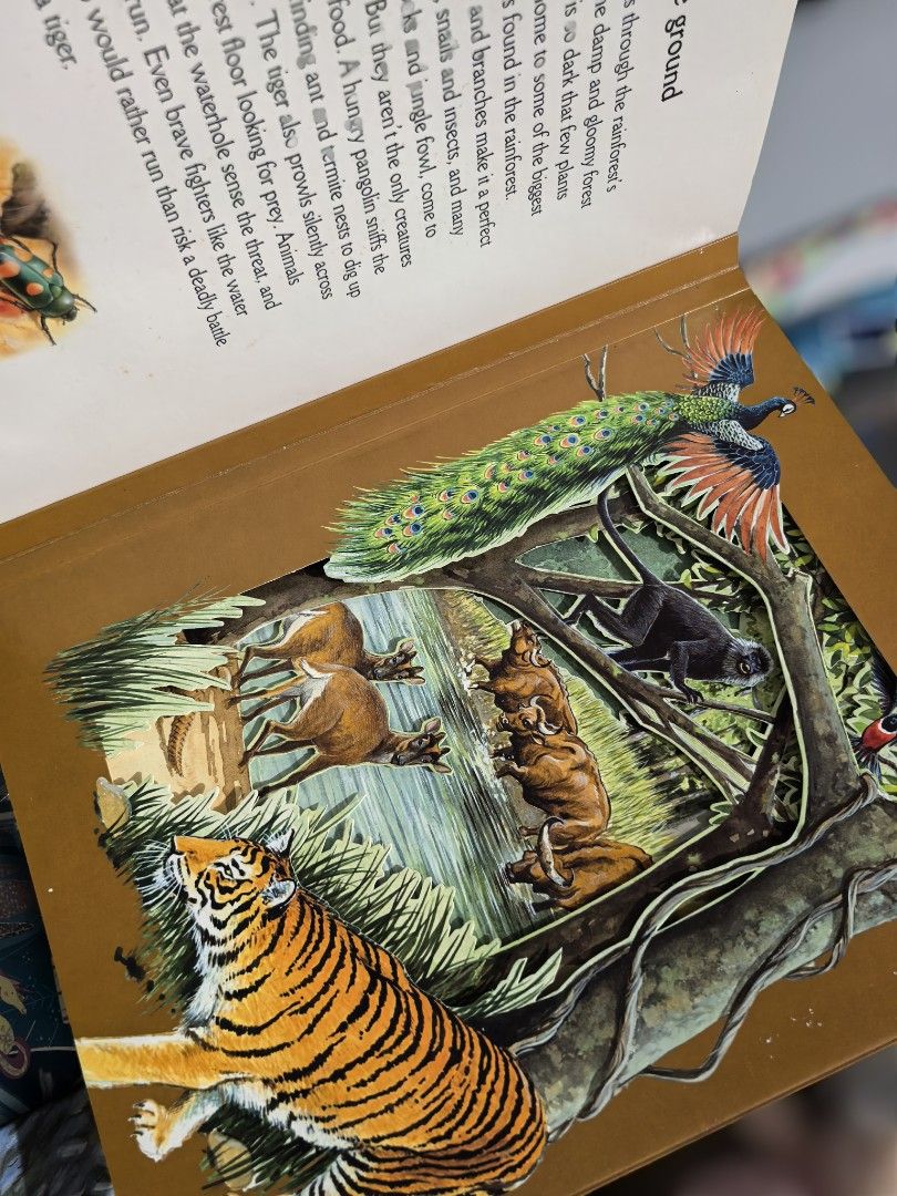 Step inside Rainforest an exciting 3-dimentional animal world (Category: Children's Books) located in Obando. Submitted by iamjeiann (Listing ID 1466455658, Image 2). Description: Children’s books 10 pcs available Prices are indicated in each photo. All books are authentic Send us a message to see the condition of your preferred books. Location: Alitagtag, Batangas MOP: G c a s h or bank transfer MOD: SCO, TCO, JNT.