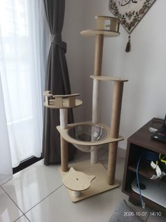 (Category: ) located in . Submitted by nekokai (Listing ID 1466397342, Image 1). Description: .