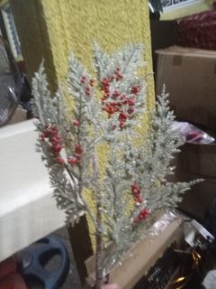 (Category: ) located in . Submitted by ellengreen18 (Listing ID 1466687443, Image 1). Description: .