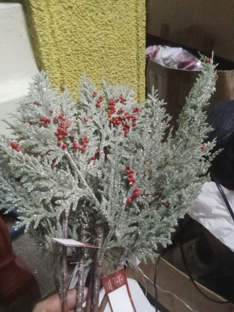 12" Snowy leaves w/berries red (Category: Other Home Decor) located in Rizal. Submitted by ellengreen18 (Listing ID 1466687443, Image 3). Description: Take all 5 Pcs. for P500 Mall Pullout fr Rustan's MOP: Gcash only Sf for buyer's account Deliver thru Lalamove,Grab or JNT.