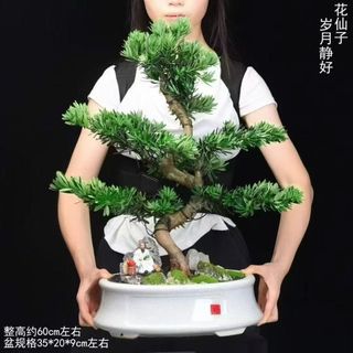 （分類：）位於 。 由 ifloralu 提交（商品編號 1466694136，圖片 1）。簡介： 。