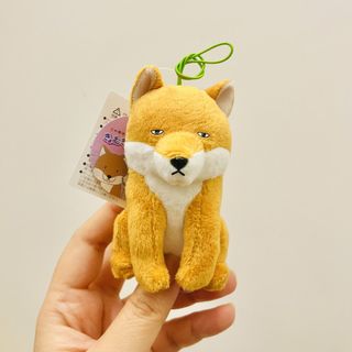 （分類：）位於 。 由 happyyytodealll 提交（商品編號 1465915757，圖片 1）。簡介： 。