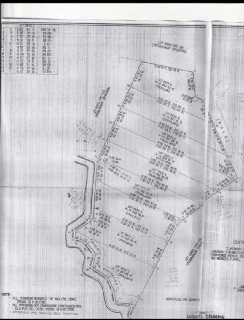 Agricultural Land (Category: Lot) located in Cainta. Submitted by legitseller2026 (Listing ID 1466772552, Image 1). Description: - Location: Cocoland agricultural property, perfect for farming or investment - Land Features: Natural terrain with lush, established vegetation - Documentation: Complete with detailed lot plan map and exact corner boundaries/measurements - Included: Site photos available for viewing - Inquiries: Send a message for more
