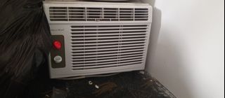 (Category: ) located in . Submitted by marquilenc35331 (Listing ID 1466566964, Image 1). Description: .