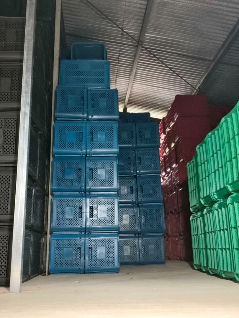 Blue Plastic Crates Specs: Blue (Color) (Category: Everything Else Others) located in Manila. Submitted by 09171479278_elsie. (Listing ID 1466650556, Image 1). Description: Blue Plastic Crates Specs: Blue (Color).