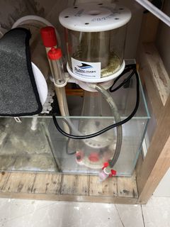 （分類：）位於 。 由 hkjp9f8g4c76906 提交（商品編號 1466723076，圖片 1）。簡介： 。