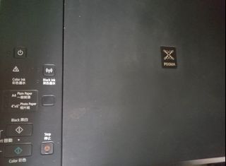 （分類：）位於 。 由 cannaindica 提交（商品編號 1466596638，圖片 1）。簡介： 。