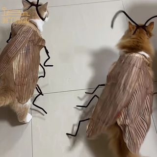 （分類：）位於 。 由 gavykourmo 提交（商品編號 1466641570，圖片 1）。簡介： 。