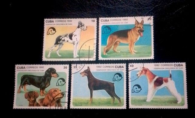 Cuba 1992 - Dogs 5v. (used) (Category: Stamps & Prints) located in Balamban. Submitted by pandastampscebu (Listing ID 1466772354, Image 1). Description: Cuba 1992 - Dogs 5v. (used) ₱35 Used. Price : ₱35. LAST PRICE POSTED The price is always for the whole set you see on the picture. GENERAL INFO ------------------------ MAXIMUM RESERVATION = 48 HOURS Shipping fee nationwide with J&T is ₱130. Free shipping for orders of ₱1000+ Mode of payment: Gca