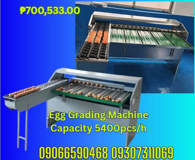 Egg grading machine for sale brand new (Category: Looking For) located in Cebu City. Submitted by ultimateni42771 (Listing ID 1466582970, Image 1). Description: Egg grading machine ₱700,533.00 Model HY-J3 Capacity 5400pcs/h Material Carbon steel Precision ±0.5g Grade 5 Power 200W Voltage 220V Length* Width* Height 1750*1600*1000(mm) Gross Weight 260KG Net Weight 190KG Function Grading eggs by weight ✅ Quality products ✅ Big discount for bulk orde