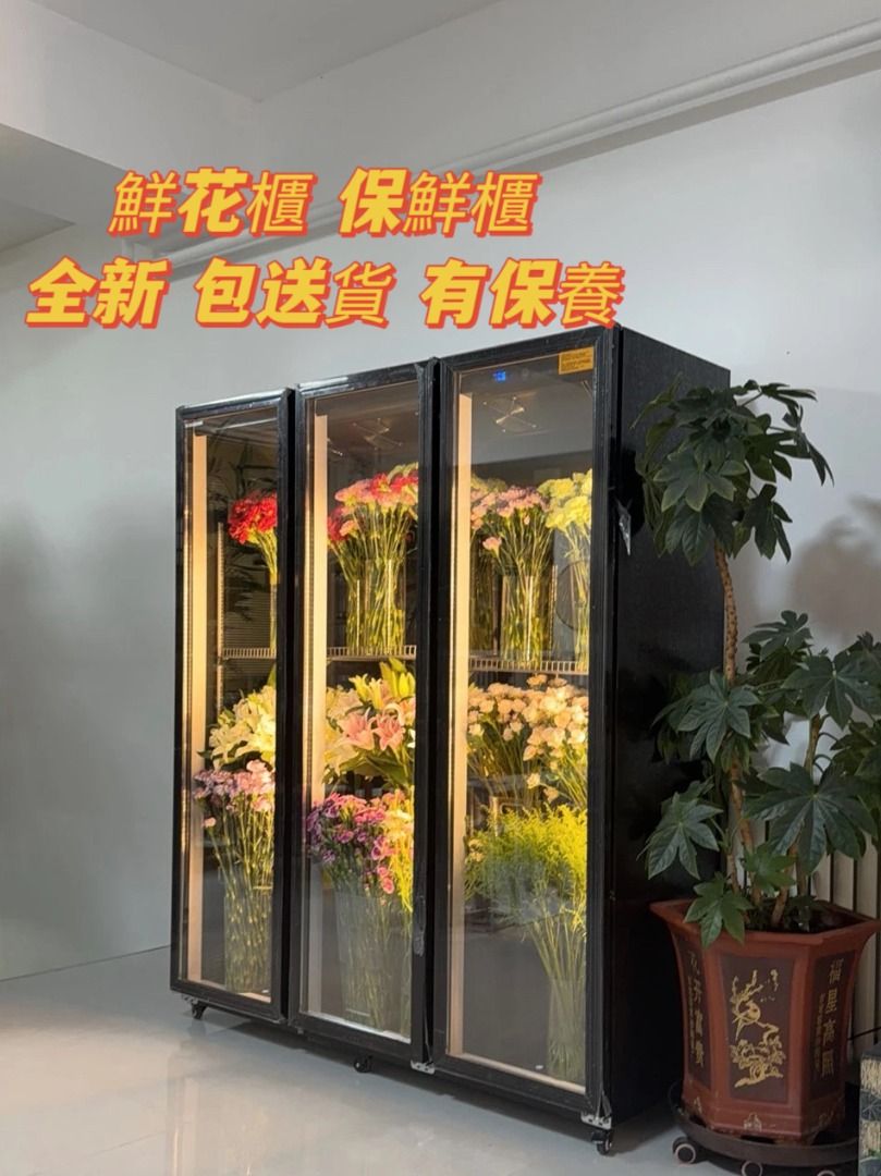💕鮮花展示櫃Flower display case 100%全新 冷藏雪櫃 鮮花店專用 冷藏鮮花保鮮櫃 風冷無霜 展示櫃, 家庭電器, 廚房 ...