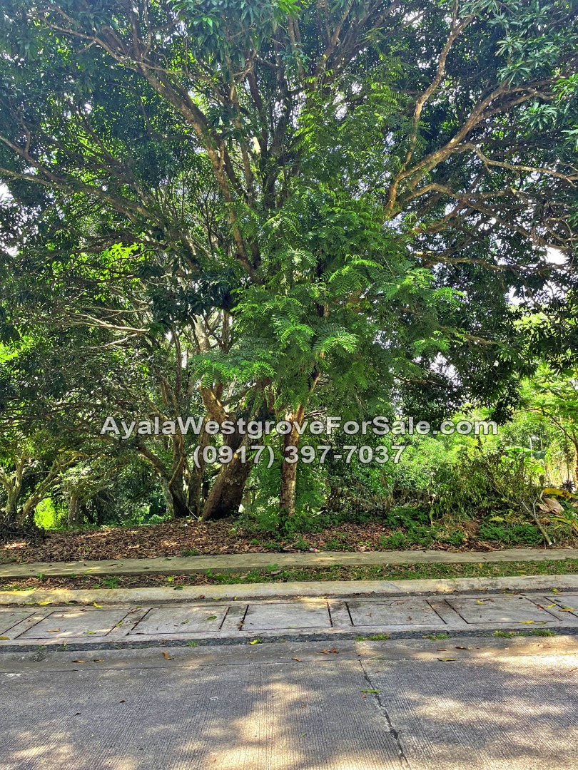 (Category: ) located in . Submitted by mustseeproperties (Listing ID 1466609106, Image 1). Description: .