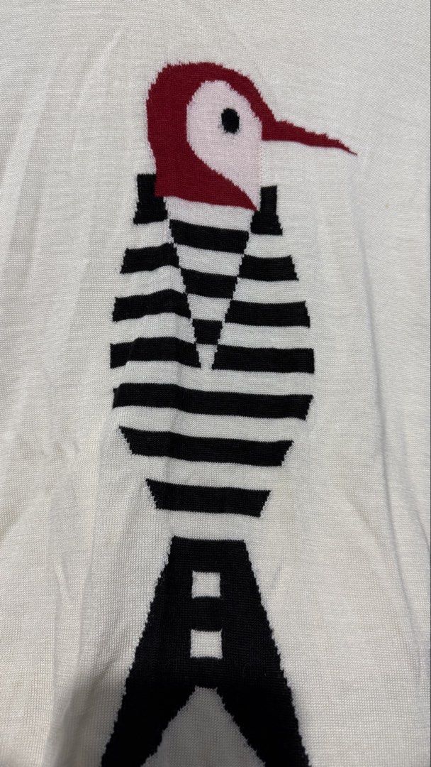 Knitted Woodpecker Top (Category: Shirts) located in Quezon City. Submitted by dinesaur (Listing ID 1466741551, Image 2). Description: Up to large.