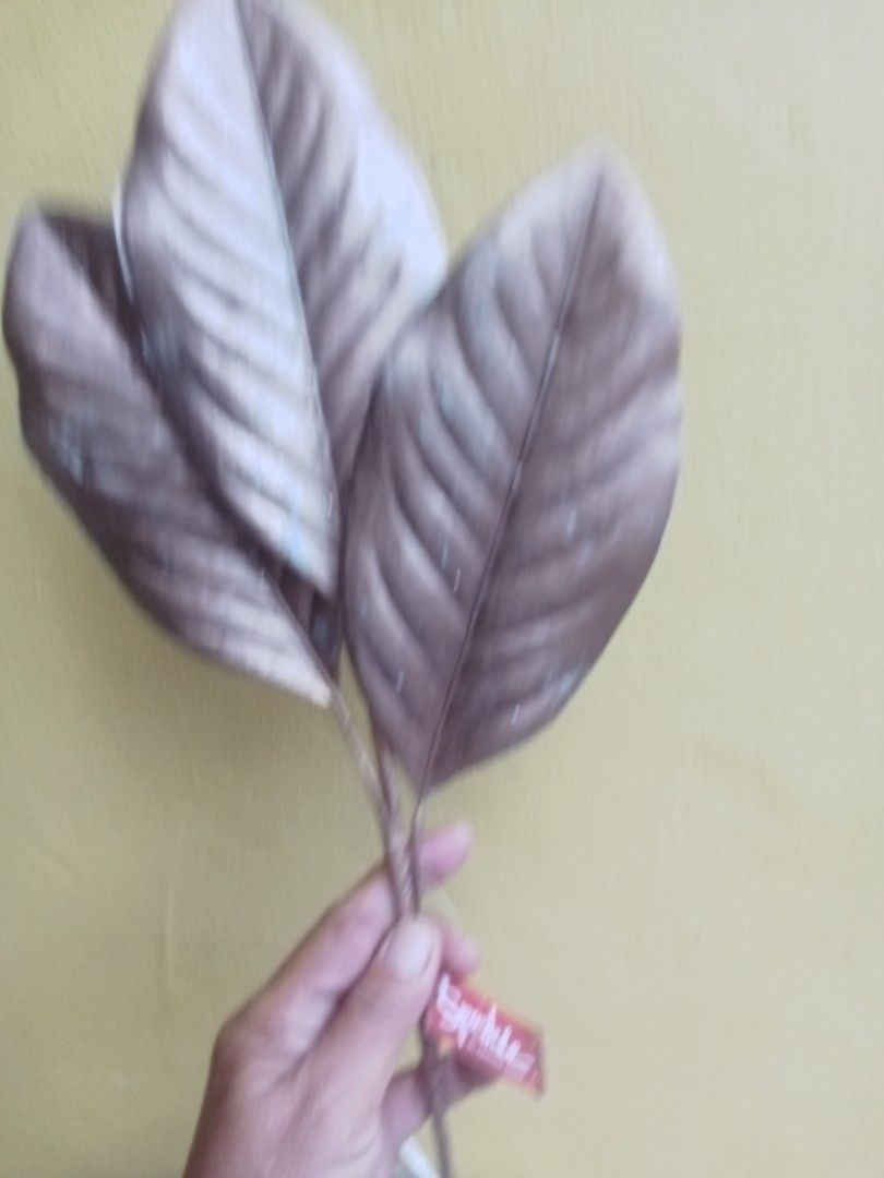 Magnolia leaves (Category: Artificial Plants & Flowers) located in Rizal. Submitted by ellengreen18 (Listing ID 1466650415, Image 2). Description: 16 Pieces available Mall Pullout MOP: Gcash only Sf for buyer's account Deliver thru Lalamove,Grab or JNT.
