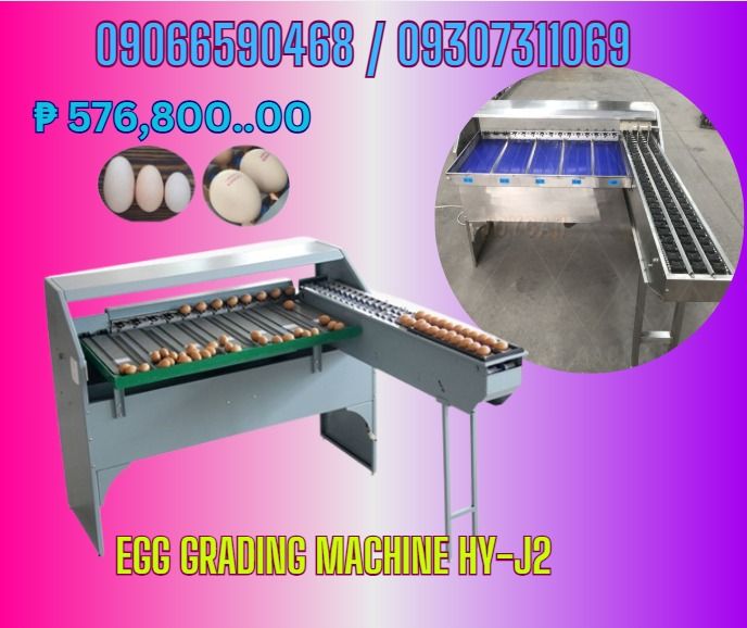 Model HY-J2 Egg Grading Machine For Sale (Category: Looking For) located in Cebu City. Submitted by ultimateni42771 (Listing ID 1466586997, Image 1). Description: Egg grading machine Php576,800.00 Model HY-J2 Capacity 4000pcs/h Material Carbon steel Precision ±0.5g Grade 7 Power 200W Voltage 220V Length* Width* Height 1438*1320*980(mm) Gross Weight 200KG Net Weight 160KG Function Grading eggs by weight ✅ Quality products ✅ Big discount for bulk o