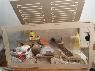 (Category: ) located in . Submitted by peep.buys (Listing ID 1466592180, Image 1). Description: .