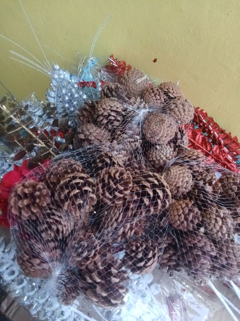 Pinecones (Category: Other Home Decor) located in Rizal. Submitted by ellengreen18 (Listing ID 1466655857, Image 3). Description: 3 Packs available 20 Pieces per pack Mall Pullout MOP: Gcash only Sf for buyer's account Deliver thru Lalamove Grab or JNT.