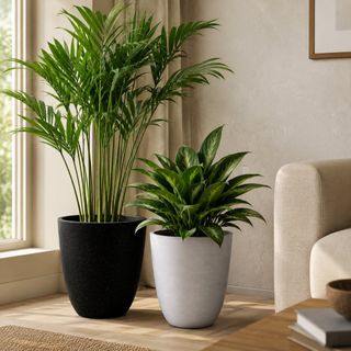 (Category: ) located in . Submitted by alyeow_flowery (Listing ID 1466565323, Image 1). Description: .