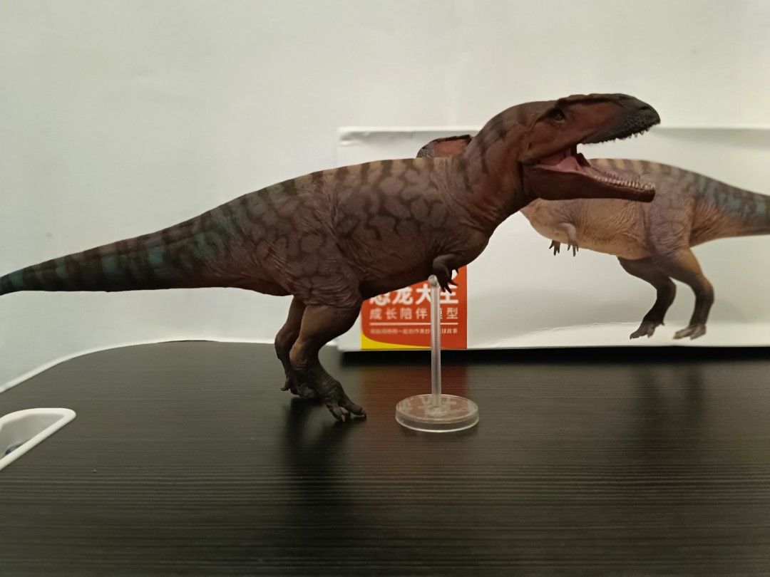 PNSO Tyranotitan (Category: Figurines & Statues) located in Caloocan City. Submitted by lckainmeraxes8 (Listing ID 1466696573, Image 2). Description: Dinosaur collectible with box with movable jaw.