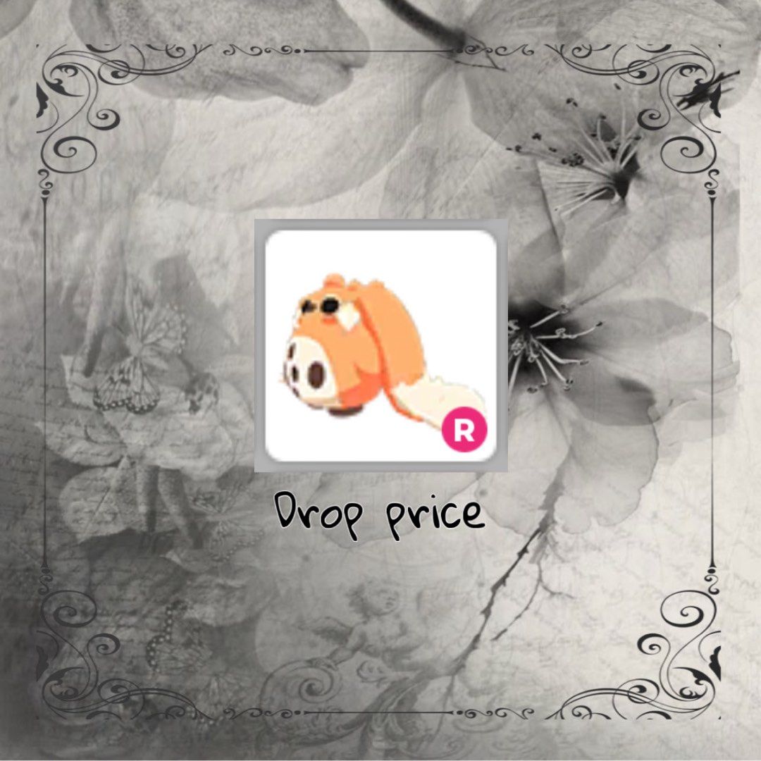 Ride Cabbit adopt me pets roblox (Category: In-Game Products) located in Guinobatan. Submitted by riescart (Listing ID 1466612690, Image 1). Description: .