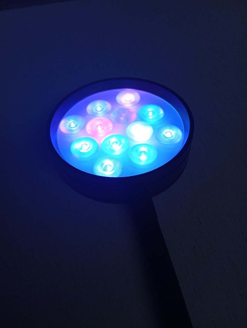 Salt water Aquarium Light (Category: Homes & Other Pet Accessories) located in Caloocan City. Submitted by jonmag31 (Listing ID 1466770120, Image 1). Description: - Flexible gooseneck desk lamp with a round LED head - Features multi-color lighting options (blue, white, and pinkish hues) - Sturdy black clamp base with a convenient rotary control knob - Attached black power cord with an easy-to-use inline toggle switch - Clean overall condition and