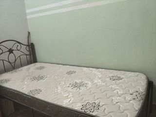 (Category: ) located in . Submitted by farahaneezmohdali (Listing ID 1466600388, Image 1). Description: .