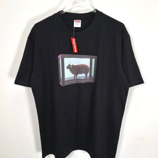 （分類：）位於 。 由 darontorphy 提交（商品編號 1466697827，圖片 1）。簡介： 。