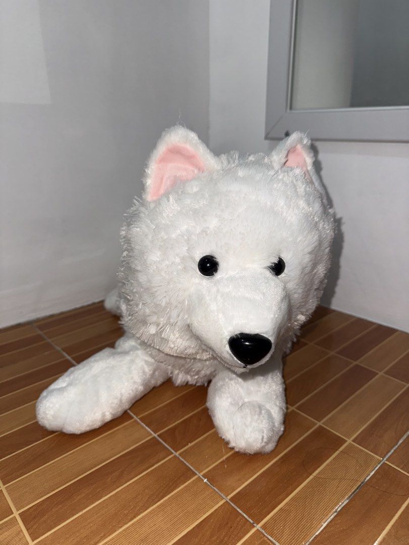 White Dog Teddy Bear (Category: Plushies & Soft Toys) located in Naga. Submitted by sbcookieee (Listing ID 1466704861, Image 1). Description: .