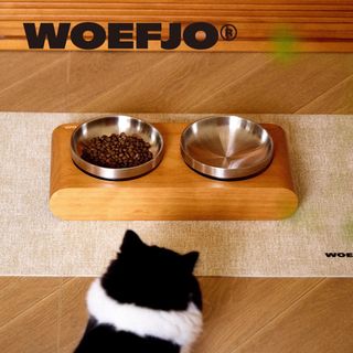 (Category: ) located in . Submitted by jpeg.hello (Listing ID 1466658973, Image 1). Description: .