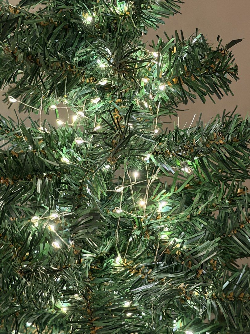 1500 led christmas lights (Category: Artificial Plants & Flowers) located in Paranaque City. Submitted by money_juseyo (Listing ID 1466790838, Image 3). Description: bought 1 month ago not used daily only used when decorating our christmas tree but eventually decided to not put up our tree good as new .