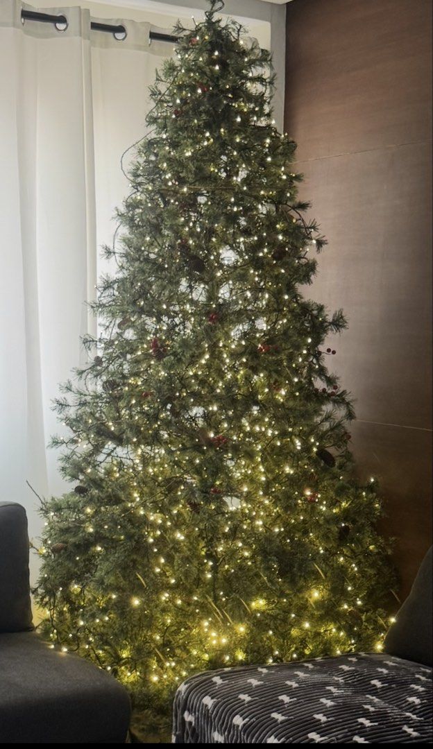 8ft Bare Thick Christmas Tree (Category: Artificial Plants & Flowers) located in San Juan City. Submitted by sageberries (Listing ID 1466791999, Image 2). Description: Note: Lights and ornaments are not included..