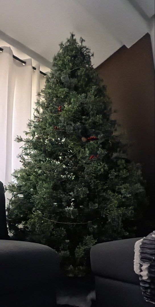 8ft Bare Thick Christmas Tree (Category: Artificial Plants & Flowers) located in San Juan City. Submitted by sageberries (Listing ID 1466791999, Image 1). Description: Note: Lights and ornaments are not included..