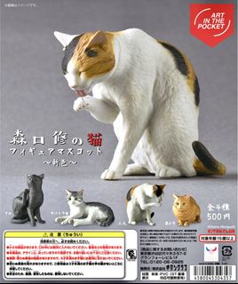 （分類：）位於 。 由 toyegg8 提交（商品編號 1466844659，圖片 1）。簡介： 。