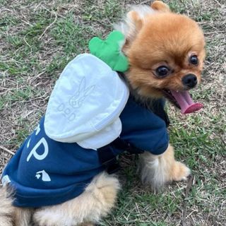 （分類：）位於 。 由 doota_mall 提交（商品編號 1466856758，圖片 1）。簡介： 。