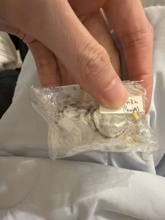 （分類：）位於 。 由 eggs.hk 提交（商品編號 1466926016，圖片 1）。簡介： 。