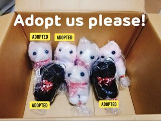 (Category: ) located in . Submitted by fluffieplushies (Listing ID 1466933370, Image 1). Description: .