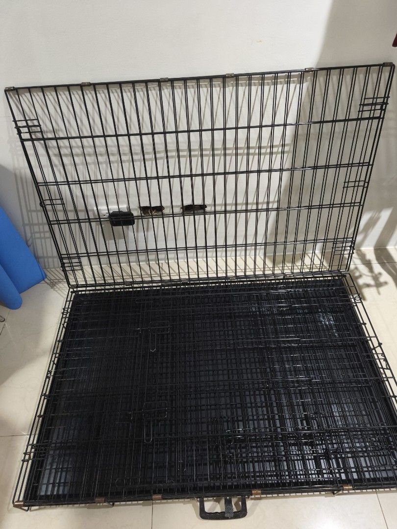 Dog Crate Foldable Pet Cage (Category: Storage Boxes & Baskets) located in Manila. Submitted by mikany (Listing ID 1466819971, Image 3). Description: For sale 4k With removable tray 2 doors (front and side) Space saver - collapsible L41.5 W26 H28 (inches) Loc vito cruz manila.