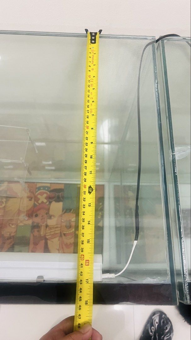 Double glass display cabinet with built-in lights (Category: Shelves, Cabinets & Racks) located in Caloocan City. Submitted by daddybhurr008.stone (Listing ID 1466919755, Image 3). Description: - Double glass display case measuring approx. 48" wide by 31" deep - Fully equipped with interior shelves, acrylic risers, and built-in LED light strips - Features a custom anime poster insert on the bottom shelf - Glass panels cleaned and inspected - Flaw