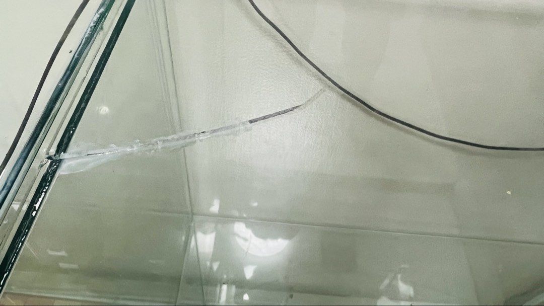 Double glass display cabinet with built-in lights (Category: Shelves, Cabinets & Racks) located in Caloocan City. Submitted by daddybhurr008.stone (Listing ID 1466919755, Image 2). Description: - Double glass display case measuring approx. 48" wide by 31" deep - Fully equipped with interior shelves, acrylic risers, and built-in LED light strips - Features a custom anime poster insert on the bottom shelf - Glass panels cleaned and inspected - Flaw