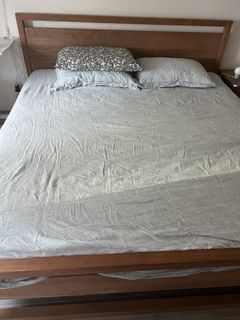 （分類：）位於 。 由 joanrougeee 提交（商品編號 1466776200，圖片 1）。簡介： 。