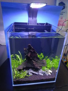(Category: ) located in . Submitted by misskeu (Listing ID 1463788087, Image 1). Description: .