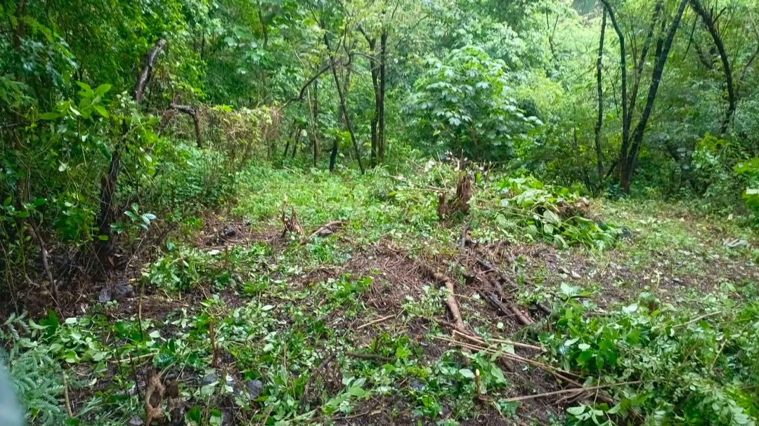 Lot for sale 198sqm (Category: Lot) located in Quezon City. Submitted by fiercebird.feb512 (Listing ID 1466872009, Image 2). Description: 🌿 198 SQM LOT FOR SALE — BINANGONAN, RIZAL 📍 Brgy. Mahabang Parang, Binangonan, Rizal 📐 Lot area: 198 sqm 💰 ₱550,000 — negotiable 🤝 Direct owner Potential investment opportunity sa Binangonan! 📄 Available documents: • Notarized Deed of Absolute Sale sa pangalan ko • Sketch/Special Plan ng 198 sqm • Tax de