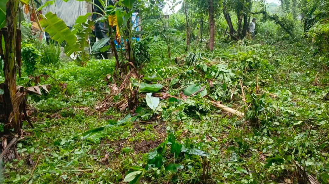 Lot for sale 198sqm (Category: Lot) located in Quezon City. Submitted by fiercebird.feb512 (Listing ID 1466872009, Image 1). Description: 🌿 198 SQM LOT FOR SALE — BINANGONAN, RIZAL 📍 Brgy. Mahabang Parang, Binangonan, Rizal 📐 Lot area: 198 sqm 💰 ₱550,000 — negotiable 🤝 Direct owner Potential investment opportunity sa Binangonan! 📄 Available documents: • Notarized Deed of Absolute Sale sa pangalan ko • Sketch/Special Plan ng 198 sqm • Tax de