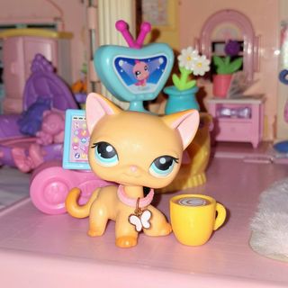 (Category: ) located in . Submitted by ssaeya (Listing ID 1466909582, Image 1). Description: .