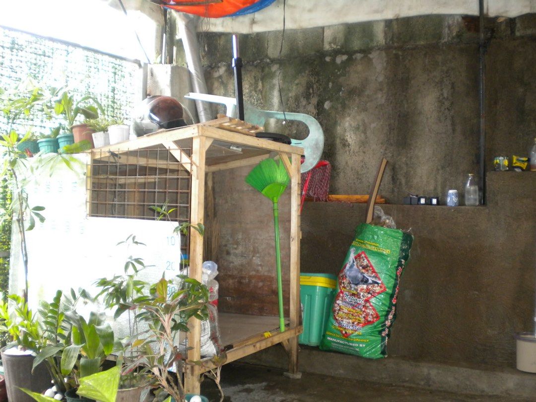 Nikon Coolpix S203 lens error (Category: Cameras) located in Las Pinas. Submitted by ms_rtchlqueen (Listing ID 1466889741, Image 3). Description: Nikon coolpix s203 lens error goods pa ito nung ginamit ko no issue tapos may sample shot ako nito Loc: Las pinas city .