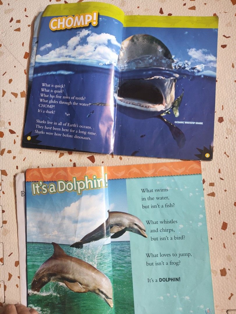 Ocean Animals Bundle 🐬🦈 (Category: Children's Books) located in Taguig. Submitted by cleanupmomma (Listing ID 1466857935, Image 3). Description: Please take time to read ❤️ Sold as Set minor folds NatGeo Complete pages wyiwyg.