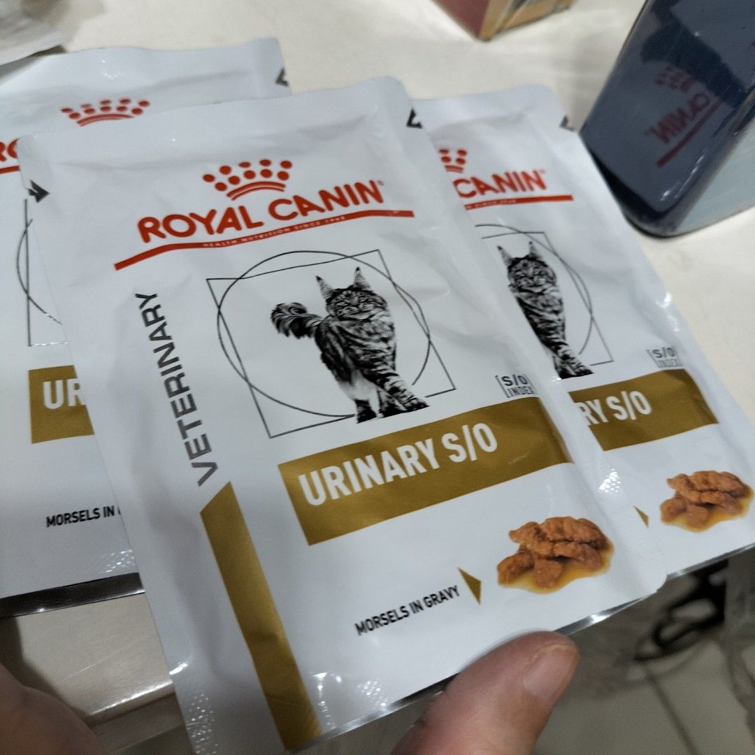 Royal canin so dier (Category: Pet Food) located in Paranaque City. Submitted by decluttering-all (Listing ID 1466841811, Image 3). Description: royal canin so diet p109 per pouch recently bought decluttering extras keeping the pantry fresh pick up beside Toyota bicutan paranaque payment through bpi or gcash .