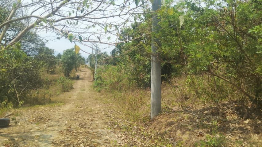 Vacant Land Plot Rural Area (Category: Construction & Building Materials) located in Quezon City. Submitted by jaysab19 (Listing ID 1466785733, Image 1). Description: RUSH FOR SALE‼️‼️‼️ Mas mura sa market value‼️‼️‼️ PM agad sa interesado. 500 sqm lot at Bagac Country Farms, Bataan. Sa may mataas na part. It's a corner lot, and the area is surrounded by three mountains. (Natib, Samat, Mariveles) Water Source: Deep Well & Concrete Piping Electric
